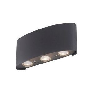 Paul Neuhaus CARLO 9488-13 LED-wandlamp 4.8 W LED Antraciet