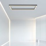 Paul Neuhaus - Pure Lines - Plafondlamp - Antraciet - CCT-kleurtemperatuurregeling