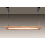 Paul Neuhaus Palma LED hanglamp CCT down