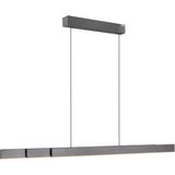 Neuhaus - PURE - Hanglamp - Donker Grijs - e-Lift + e-Slide L 120-200 cm