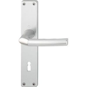 Langschildgarnitur Birm.1117/202SP Alu.F2 sk/ol 78mm din l/r - 2534073 - Hoppe