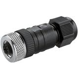 Rechte M12-stekker A-gecodeerd voor LINURA.edge en MACH LED PLUS.forty - Waldmann
