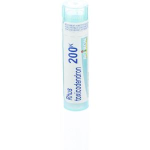 Boiron Rhus Toxicodendron 200k Granulen 1 stuks