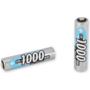 Ansmann AAA Batterijen