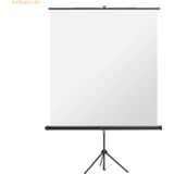magnetoplan Cinstativ Projektionswand-Stativ für 1800 x 1800 mm