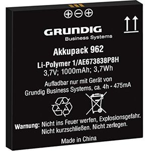 Grundig Li-Ion 1000 mAh Batterij/Accu