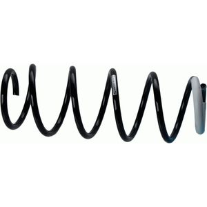 Chassisveer SACHS 997 977