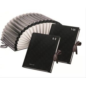 PAGNA Vorordner, 31 Fächer, DIN A4-Format, Band, mit Register 1-31