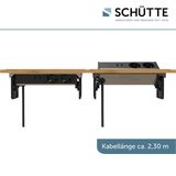 SCHÜTTE 3074 inklapbare stekkerdoos voor het werkblad (2 x USB en 2 x 230 V stekkers), inbouwstopcontact voor de keuken om achteraf in te bouwen, tafelstopcontact van roestvrij staal