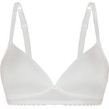 sassa BH 'Tempting Passion'  ivoor