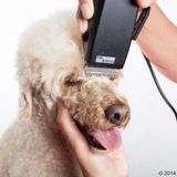 Moser - Rex - Huisdiertondeuse - Zwart - Edelstaal - Incl. Scheerkop