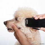 Moser - Rex - Huisdiertondeuse - Zwart - Edelstaal - Incl. Scheerkop