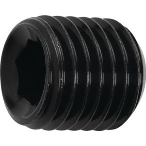 Promat Spanschroef | M6 lengte 10 mm | voor spankop-d. 6 mm - 4000834134 4000834134
