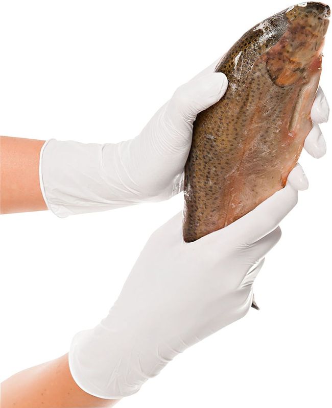 Hygonorm - Nitril Wegwerphandschoenen - Wit - Allfood Safe - 250 Stuk per Verpakking