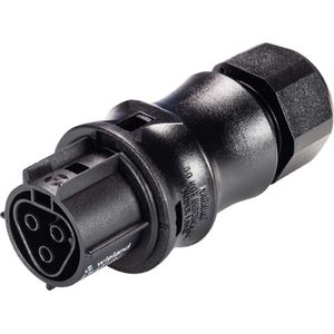 Wieland RST20I3S B1 ZR2 SW Connector - 96.031.4153.1 - E3N5P