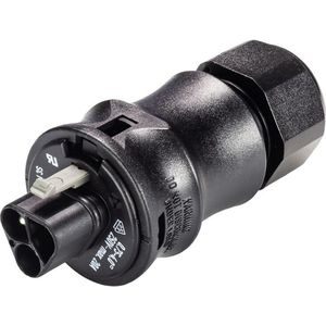 Wieland RST Classic Connector 3P 20A 250V - 96.032.4153.1 - E3N5U