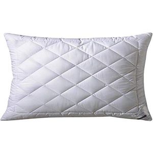 billerbeck Silver-Dream Hoofdkussen, 40 x 80 cm, met ritssluiting, kussen met zilveren afwerking, personaliseerbaar