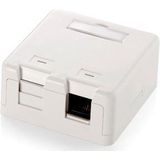 Rj45 Rosette Oberfläche Leer 2 Buchsen Equip 125122