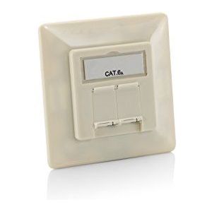 Digital data communication equip Anschlussdose Cat.6a Perlweiss 2-Port