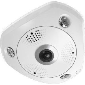 LevelOne FCS-3095 - Panoramakamera - Kuppel - wetterfest - Farbe (Tag&Nacht) - 12 MP