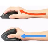 Equip 245110 muis Rechtshandig RF Draadloos Optisch 1600 DPI