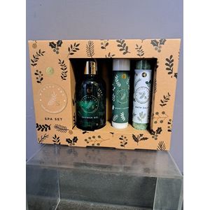 geschenk set winter spa - douche gel - body lotion - bad zout - verse dennen - winter bessen - vegan