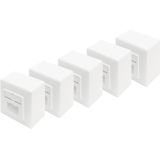 Digitus DN-9006/B5-N Netwerkdoos Opbouw (op muur) CAT 6 2 poorten Zuiver wit 5 stuk(s)