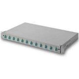 Digitus - DN-96207-2U - Patch Panel - Grijs - 24 Poorten - 2U