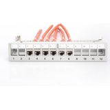 Digitus - 12-poorts - Patch Paneel - Grijs - Volledige Afscherming