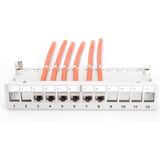 Digitus - 12-poorts - Patch Paneel - Grijs - Volledige Afscherming