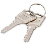 DIGITUS reservesleutel voor laadkasten DN-45000, DN-45002 & DN-45005 - twee stuks - zilver