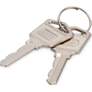 Digitus - Sleutels voor Laadkisten - Accessoires voor Serverkasten - Zilver