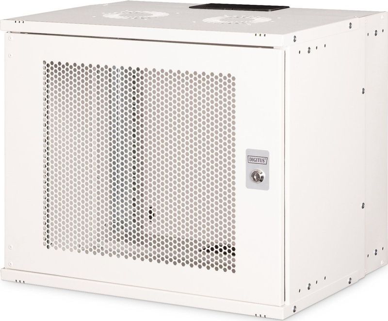 Netwerk Rack - 19 Inch - 9 U - Geperforeerd Staal - 270 mm Diepte