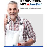 Baufan - Spatel - Wit - 400 g - Vezelversterkt - Oplosmiddelvrij