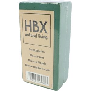 Basic Brick Steekshuim 20x10x7,5cm Verpakt groen HBX natural living Kerststukje