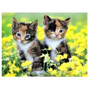 Diamond Painting Set, afbeelding met kattenmotief en accessoires, knutselset om te schilderen met glittersteentjes, voor kinderen vanaf 5 jaar