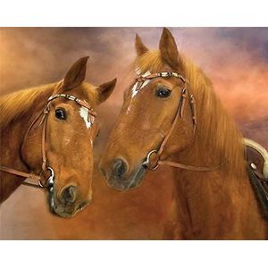 Diamond Painting Set, afbeelding met motief Twee paarden en accessoires, formaat ca. 35 x 25 cm, knutselset om te schilderen met glittersteentjes voor kinderen vanaf 5 jaar