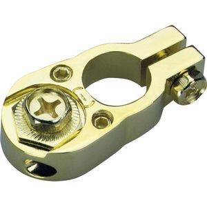 Sinuslive - BK 1 - Accupoolklem Minpool - Verguld - 1 stuk