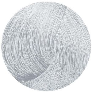 dusy professional Style Color Setting Lotion light hold 9/81 zilver 200 ml