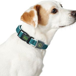 Vario basic yarn - m -l- Hundehalsband, lime - Hunter