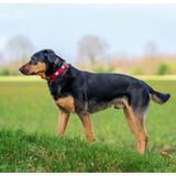 HUNTER Hundehalsband Love rot/schwarz, Gr. 47, Breite: ca. 3,0 cm, Halsumfang: ca. 38 - 44 cm