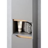calmo2go Midischrank  ¦ grau ¦ Maße (cm): B: 30 H: 141,5 T: 33.0 Schränke > Badschränke > Bad-Midischränke - Möbel Kraft