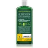 Logona - Glansshampoo - 250 ml - Biologische Arganolie