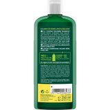 Logona - Volume Shampoo - 100% Gerecycled - Fijn Haar - Biologische Honing