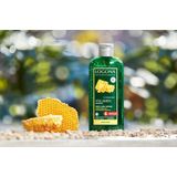 Logona - Volume Shampoo - Bier & Honing - 500 ml - Met Biologische Plantenextracten