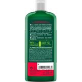 LOGONA - AGE ENERGY - Shampoo - Organisch - Met Cafeïne en Gojibessen
