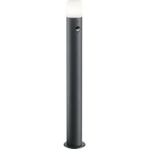 Trio Lighting Moderne tuinpadverlichting Hoosic m bewegingsmeld