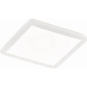 Trio DeckenleuchteCamillus LED - R62931801