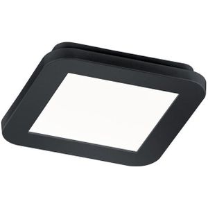 Trio DeckenleuchteCamillus 17x17cm - R62931032