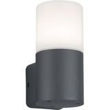 TRIO HOOSIC Wandlamp - Antraciet - excl. 1xE27 28W - Buitenverlichting - IP44